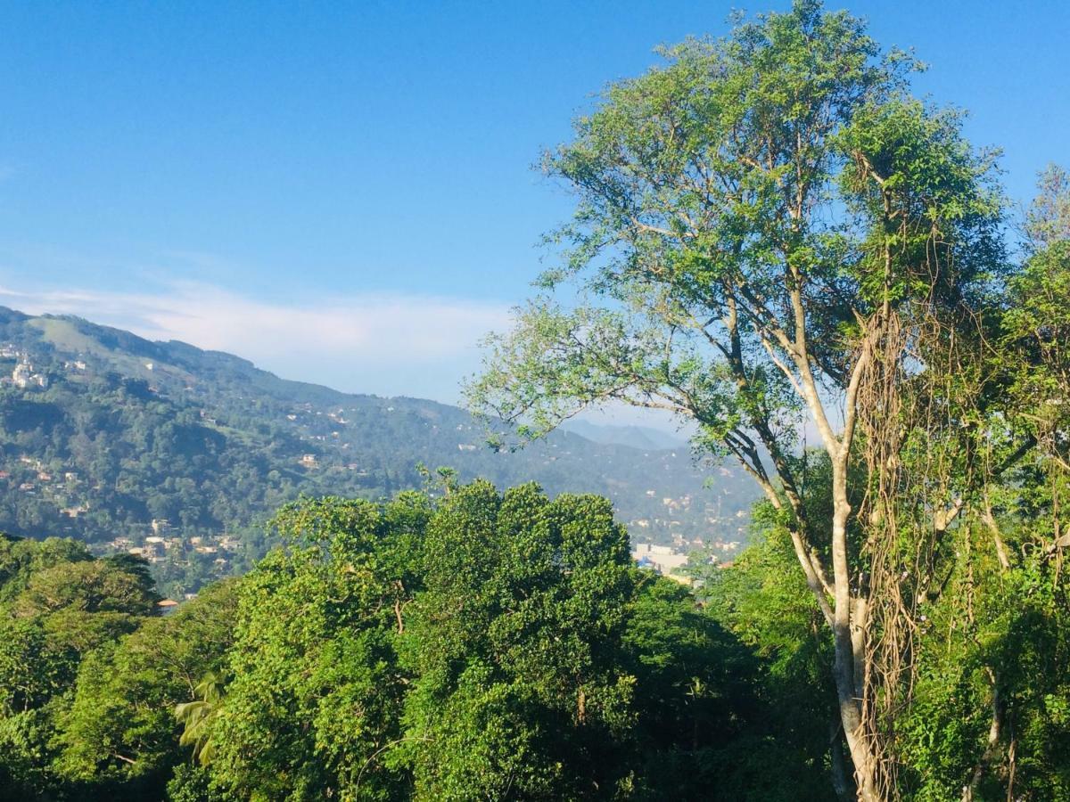 Selyna Sky Terrace Bed & Breakfast Kandy Ngoại thất bức ảnh