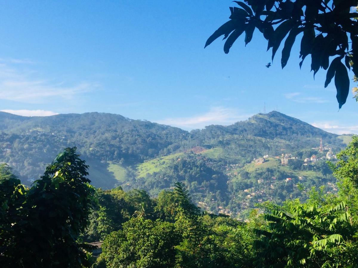 Selyna Sky Terrace Bed & Breakfast Kandy Ngoại thất bức ảnh