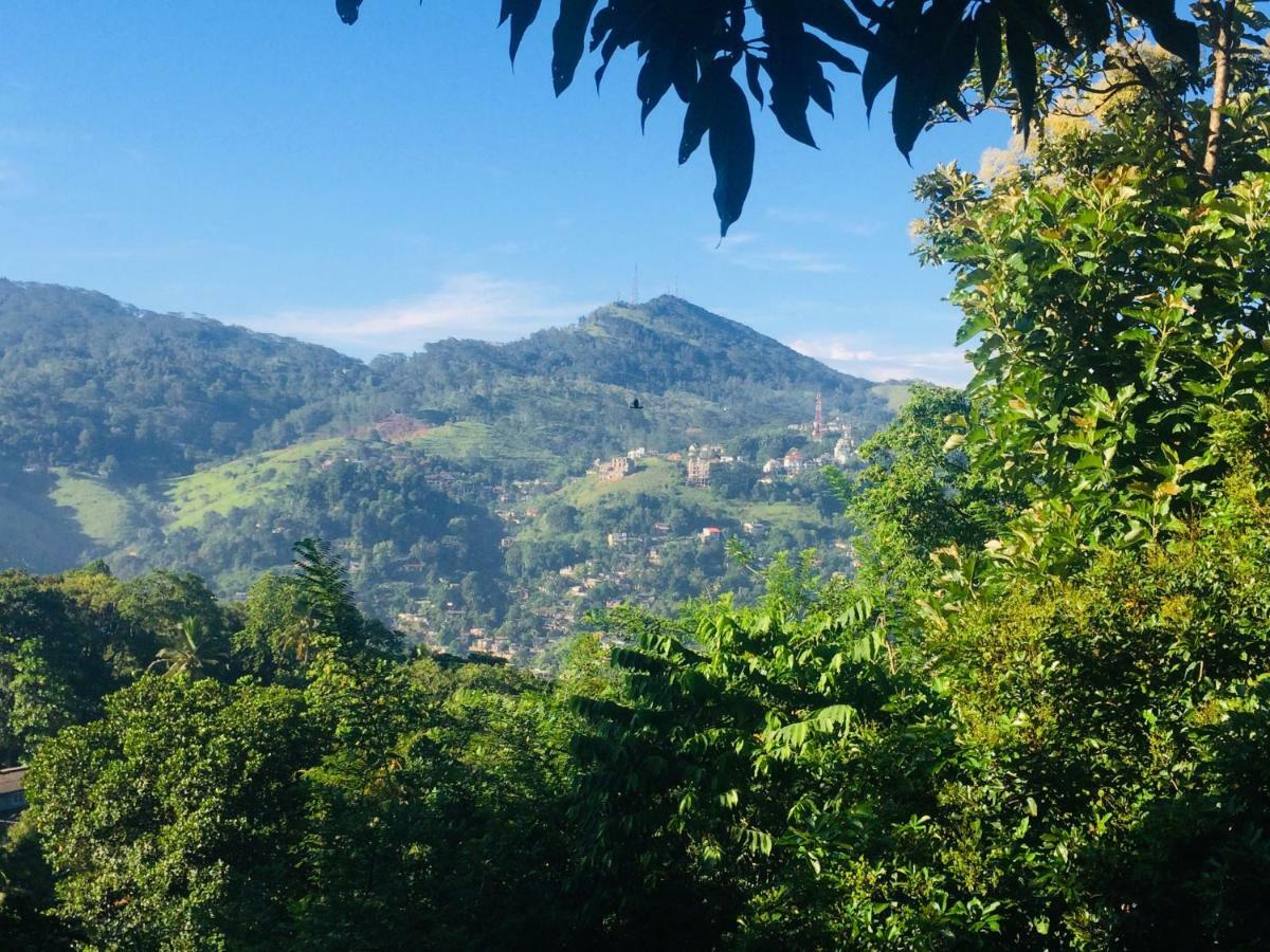 Selyna Sky Terrace Bed & Breakfast Kandy Ngoại thất bức ảnh