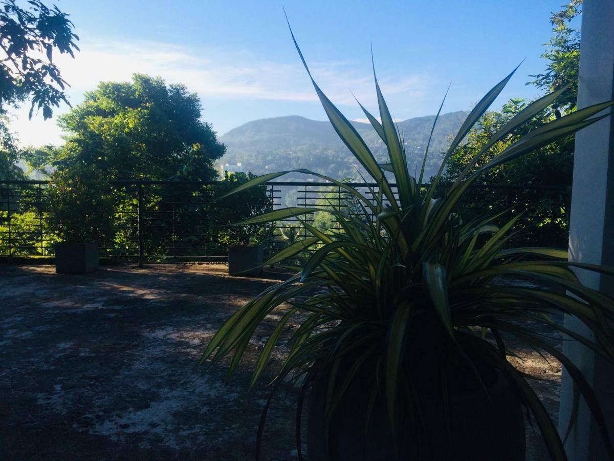 Selyna Sky Terrace Bed & Breakfast Kandy Ngoại thất bức ảnh